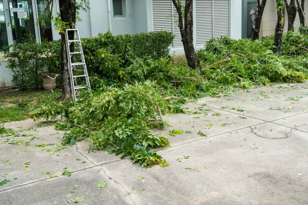 Lawn Watering Services in Pebble Creek, FL
