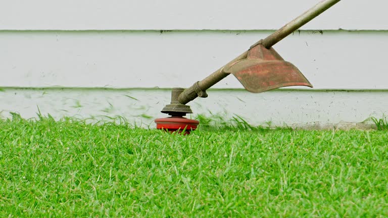 Best Grass Overseeding  in Pebble Creek, FL