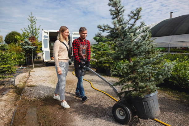 Best Lawn Renovation and Restoration  in Pebble Creek, FL